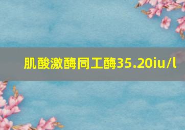 肌酸激酶同工酶35.20iu/l