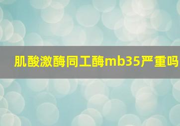 肌酸激酶同工酶mb35严重吗