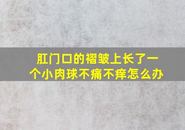 肛门口的褶皱上长了一个小肉球不痛不痒怎么办