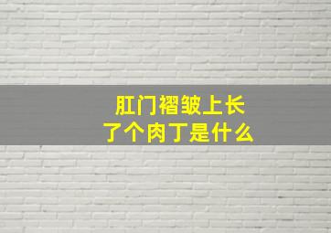 肛门褶皱上长了个肉丁是什么