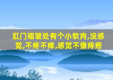 肛门褶皱处有个小软肉,没感觉,不疼不痒,感觉不像痔疮