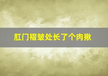 肛门褶皱处长了个肉揪