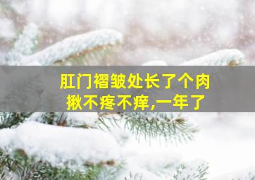 肛门褶皱处长了个肉揪不疼不痒,一年了