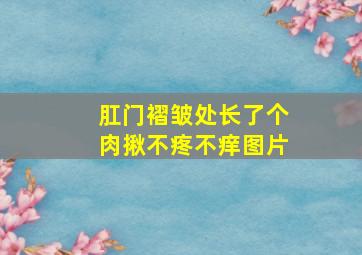 肛门褶皱处长了个肉揪不疼不痒图片