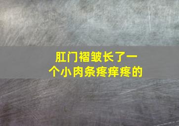 肛门褶皱长了一个小肉条疼痒疼的