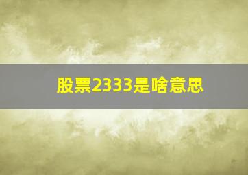 股票2333是啥意思