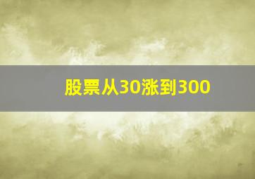 股票从30涨到300