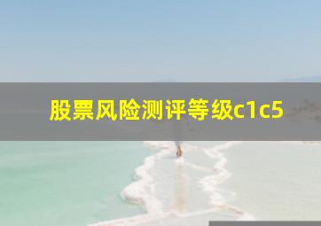 股票风险测评等级c1c5