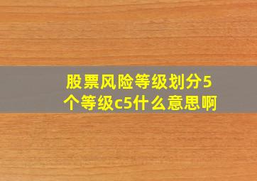 股票风险等级划分5个等级c5什么意思啊