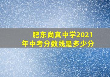 肥东尚真中学2021年中考分数线是多少分