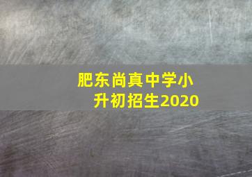 肥东尚真中学小升初招生2020