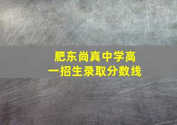 肥东尚真中学高一招生录取分数线