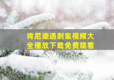 肯尼迪遇刺案视频大全播放下载免费观看