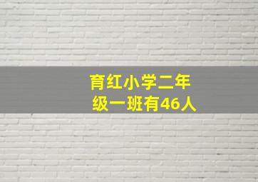 育红小学二年级一班有46人