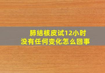 肺结核皮试12小时没有任何变化怎么回事