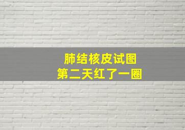 肺结核皮试图第二天红了一圈