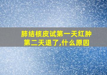 肺结核皮试第一天红肿第二天退了,什么原因