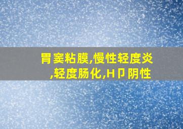 胃窦粘膜,慢性轻度炎,轻度肠化,H卩阴性