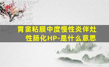 胃窦粘膜中度慢性炎伴灶性肠化HP-是什么意思