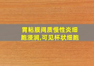 胃粘膜间质慢性炎细胞浸润,可见杯状细胞