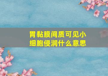 胃黏膜间质可见小细胞侵润什么意思