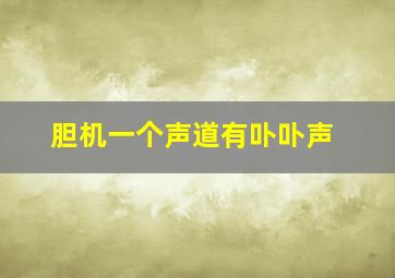 胆机一个声道有卟卟声