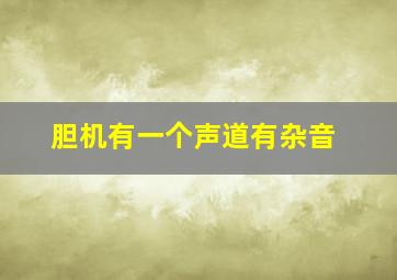 胆机有一个声道有杂音