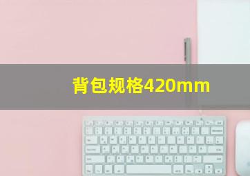 背包规格420mm