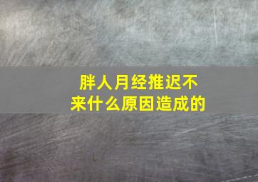 胖人月经推迟不来什么原因造成的