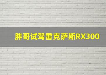 胖哥试驾雷克萨斯RX300