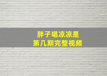 胖子唱凉凉是第几期完整视频