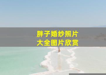 胖子婚纱照片大全图片欣赏