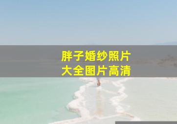 胖子婚纱照片大全图片高清