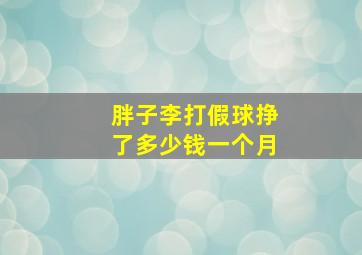 胖子李打假球挣了多少钱一个月