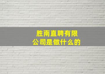 胜南直聘有限公司是做什么的