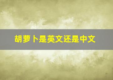 胡萝卜是英文还是中文