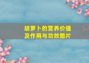 胡萝卜的营养价值及作用与功效图片