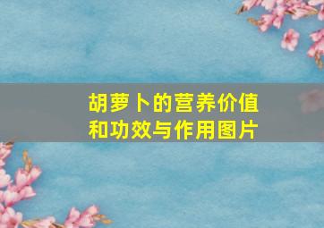 胡萝卜的营养价值和功效与作用图片