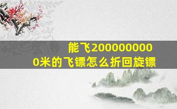 能飞2000000000米的飞镖怎么折回旋镖