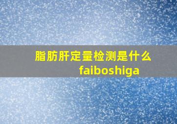 脂肪肝定量检测是什么faiboshiga