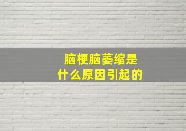 脑梗脑萎缩是什么原因引起的