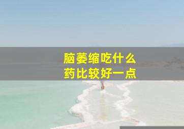 脑萎缩吃什么药比较好一点