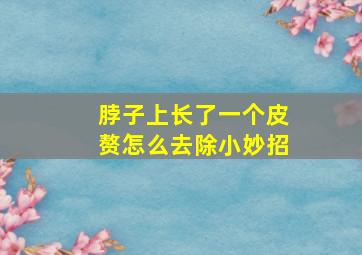 脖子上长了一个皮赘怎么去除小妙招