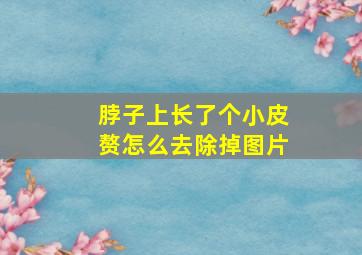 脖子上长了个小皮赘怎么去除掉图片