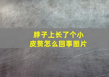 脖子上长了个小皮赘怎么回事图片