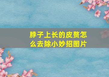 脖子上长的皮赘怎么去除小妙招图片