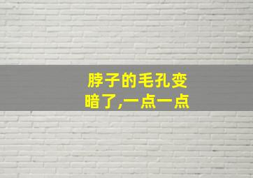 脖子的毛孔变暗了,一点一点