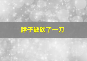 脖子被砍了一刀