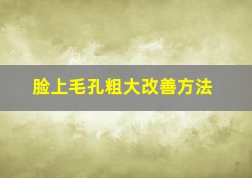 脸上毛孔粗大改善方法