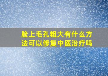 脸上毛孔粗大有什么方法可以修复中医治疗吗